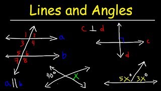 Parallel and Perpendicular Lines Transversals Alternate Interior Angles Alternate Exterior Angles [upl. by Herzberg]