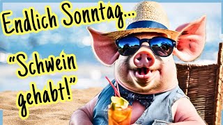 Sonnige Sonntagsgrüße amp fröhliche Vierbeiner zum Lachen und Teilen 🐷🌞 [upl. by Sankaran]