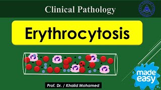 Vet Hematology Lecture 4 Erythrocytosis Polycythemia made easy [upl. by Studner106]