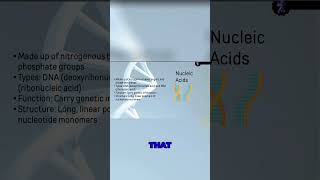 DNA vs RNA Unveiling the Secrets of Nucleic Acids [upl. by Onahpets]