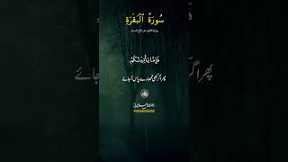 Short Tilawat e Quran  Surha Al Baqarah  Ayat 36  38  Mohaddis Media [upl. by Wahlstrom503]