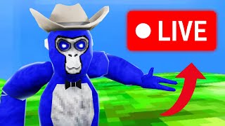 Gorilla Tag Playing With My Viewers Live [upl. by Montano]