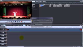 Magix Edit Pro 2013 MultiCam Step 1  ImportSync [upl. by Assirehc]