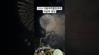 2024 서울세계불꽃축제 피날레 서울세계불꽃축제 피날레 여의도한강공원 불꽃축제 [upl. by Eidob104]