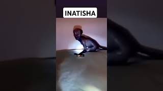 Inatisha kiumbe cha ajabu chumbani viralvideo [upl. by Pelpel]