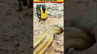 Kya sap bhag payega 👉👉 funny uwoodworkerfacts snake factsinhindi experiment [upl. by Allina965]