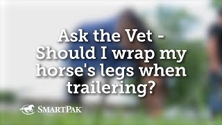 Ask the Vet  Should I wrap my horses legs when trailering [upl. by Elik]