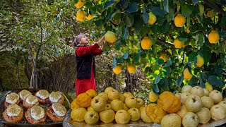 Harvest Plenty of Quince in the Village and Prepare Jam and Juice  Quince dessert recipe [upl. by Coveney]