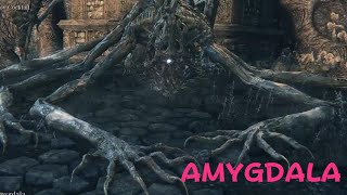 Bloodborne  Amygdala [upl. by Petie822]