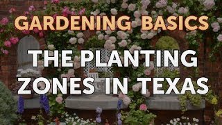 The Planting Zones in Texas [upl. by Celio]