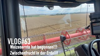 VLOG63 Weizenernte hat begonnen Zwischenfrucht in der Erde [upl. by Neale]