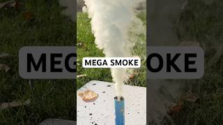 Smoke Ball vs MEGA SMOKE 💨fireworks pyrotechnics shorts [upl. by Juline]