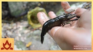 Primitive Technology Freshwater Prawn Trap [upl. by Milan]