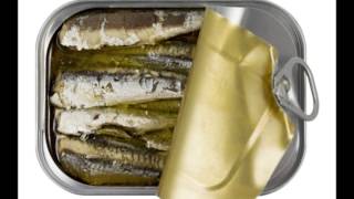 SARDINES  SERENADER 2015 [upl. by Irrehs]