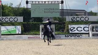 Daniel Bachmann Andersen amp Blue Hors Zack  Danish champions 2019 [upl. by Zetrauq184]