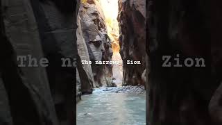 The Narrows Zion national park [upl. by Clem]