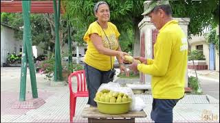 DE CAMPECHE ALIETH VANESSA amp SON BECUADRO ORQUESTA [upl. by Teena]