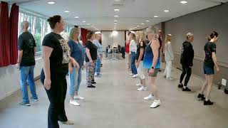 WHY GIRL LINE DANCE DEMO [upl. by Fedak]