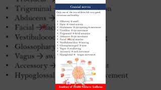 Cranial Nerves  Anatomy  by Imran Yaseen [upl. by Ococ]