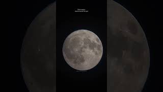 Луна в телескоп транзит птицыMoon through a telescope bird transit телескоп космос shorts [upl. by Huei268]