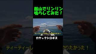 今年初のシロギス！浅くて近場のポイントも熱い！カヤックフィッシング カヤック シロギス fishingショウサイフグ フィッシング [upl. by Eedya]