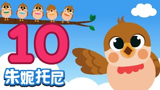 朱妮托尼  数字儿歌系列  认识数字10  十只小麻雀  儿歌童谣  Number Song for Kids [upl. by Quarta559]