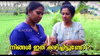 BLACKIES VLOG  Epi 02  MANJU PATHROSE I SIMI SABU I ഇത് നിങ്ങള് കഴിച്ചിട്ടുണ്ടോ [upl. by Atteloiv]