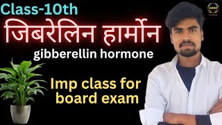 जिबेरेलिन हॉर्मोन  gibberellin hormone  biology by hardik sir [upl. by Lavotsirc]