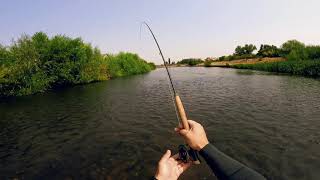 Euro nymphing Trout on Steroids  fly fishing [upl. by Bonns]