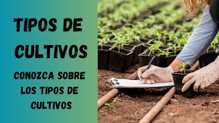 Cuales son los tipos de cultivos agrícolas Tipos de cultivos Cultivos Todo sobre los cultivos [upl. by Grevera]