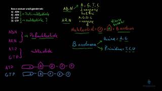 Biologji  Ushtrim Acidet nukleike Ndërtimi i ARNsë [upl. by Ifill]