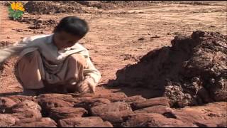 Child Labor In Pakistan [upl. by Ttekcirc]