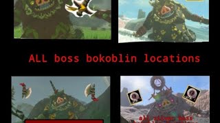 ALL boss bokoblin locations in tears of the kingdom totk [upl. by Loring981]