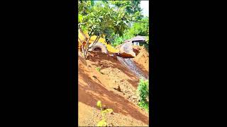 Start New Project Clear Forest Delete Pond Flooded amp Dump truck 5ton Complete 100 Bulldozer [upl. by Aliahs]