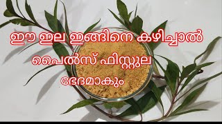 നാഗവെറ്റില ഔഷധ ഗുണങ്ങൾ nagavettila ayapana [upl. by Adyahs]