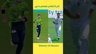 bowling action comparison between Shaheen afridi and Naseem shah cricket shorts [upl. by Sharleen232]