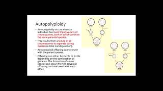 Polyploidy [upl. by Austin]