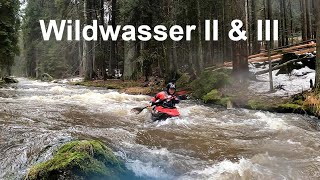 Großer Regen  Wildwasser Perle im Bayrischen Wald [upl. by Eniamret]