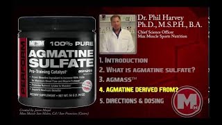 What is Agmatine Sulfate Used  Agmatine Sulfate Supplement Benefits [upl. by Nyladnarb895]