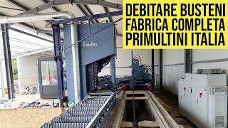 Fabrica completa debitare busteni  Linie debitare busteni  Primultini [upl. by Arenat475]