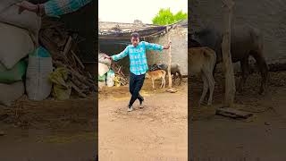 Jimmy Jimmy Aaja Aaja shortstop short dance viral viraldance dancevideo [upl. by Eirelam158]