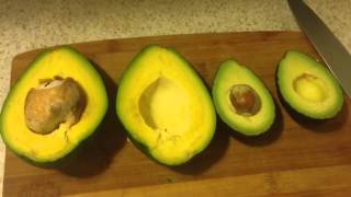 Spicy Avocado Salsa  Bees Cooking [upl. by Oel]