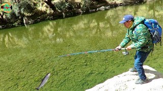 PESCANDO TRUCHAS EN RÍOS  pescando TRUCHAS CON CUCHARILLA [upl. by Johnath859]