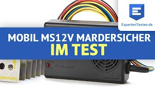 Marderschreck Review Mobil MS12V von MarderSICHER im Test 2021 [upl. by Niriam412]