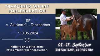 8 Herbstglück SF v Glücksruf Tanzpartner 2024 [upl. by Lankton321]