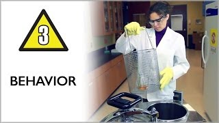 Behavior  Lab Safety Video Part 3 [upl. by Enahpets]