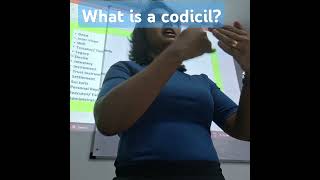 What is a codicil [upl. by Hairem91]