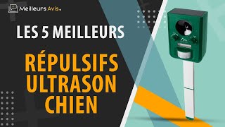 ⭐️ MEILLEUR REPULSIF ULTRASON CHIEN  Avis amp Guide dachat Comparatif 2023 [upl. by Mcnamee]