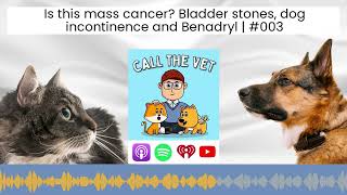 Is this mass cancer Bladder stones dog incontinence and Benadryl  003 [upl. by Georgiana]