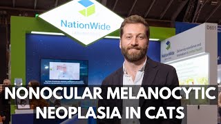 Nonocular melanocytic neoplasia in cats [upl. by Storer437]